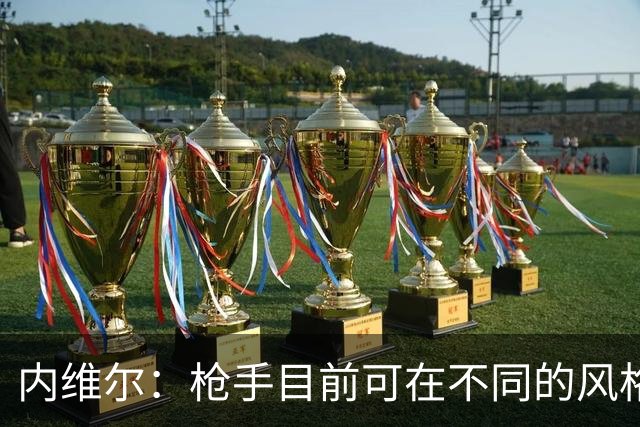 内维尔：枪手目前可在不同的风格间进行调整