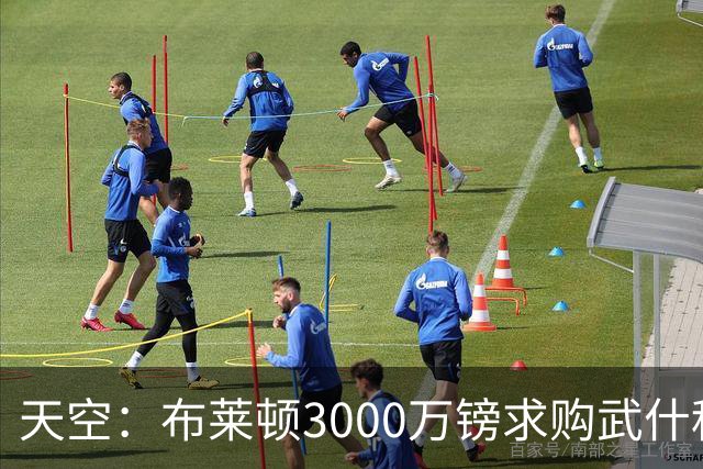 天空：布莱顿3000万镑求购武什科维奇，预计热刺对其估值超6000万